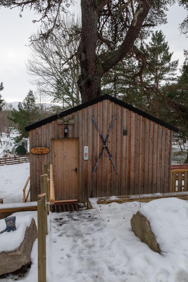 Pine Marten Bar Glenmore Treehouse Авимор